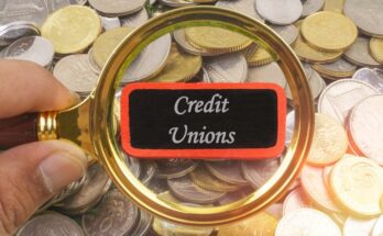 A Comprehensive Guide to Denver's Credit Unions