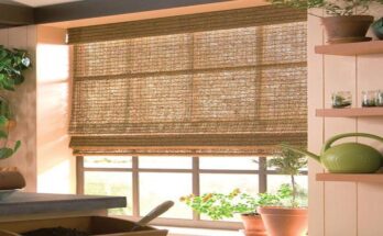 Are Bamboo Blinds the Perfect Eco-Friendly Window Solution