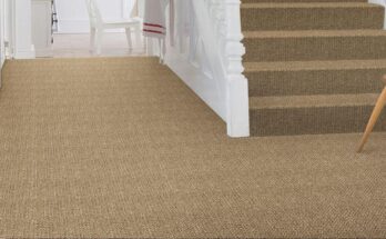 Why Should You Choose Sisal Carpets for Your Home